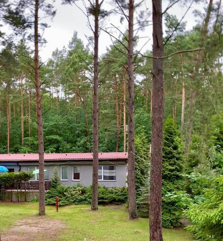Osrodek Wypoczynkowy Zakatek Villa Kąty Rybackie Eksteriør billede